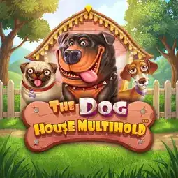 The Dog House Multihold gra w Vavada Casino dla graczy z Polski